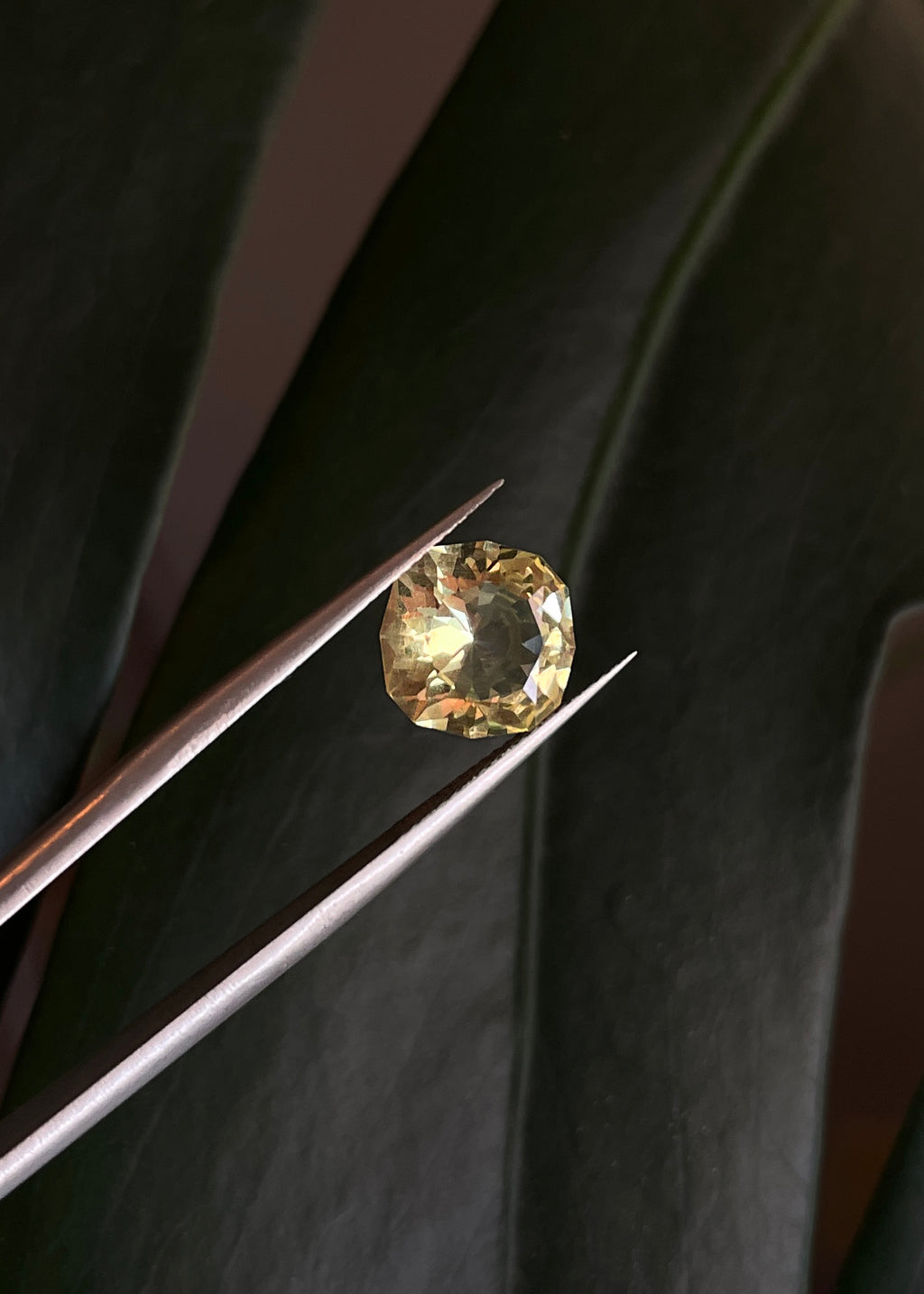 Golden Apatite Cushion Cut Gemstone