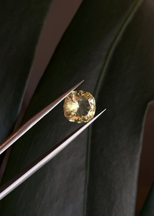 Golden Apatite Cushion Cut Gemstone