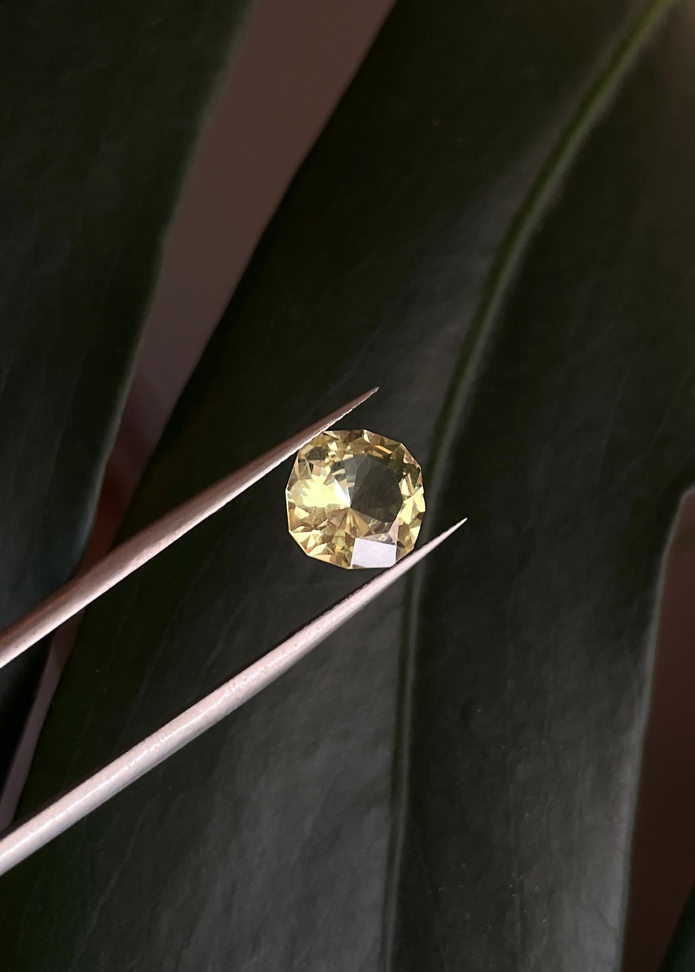Golden Apatite Cushion Cut Gemstone