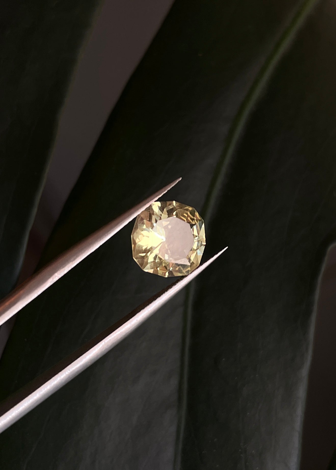 Golden Apatite Cushion Cut Gemstone
