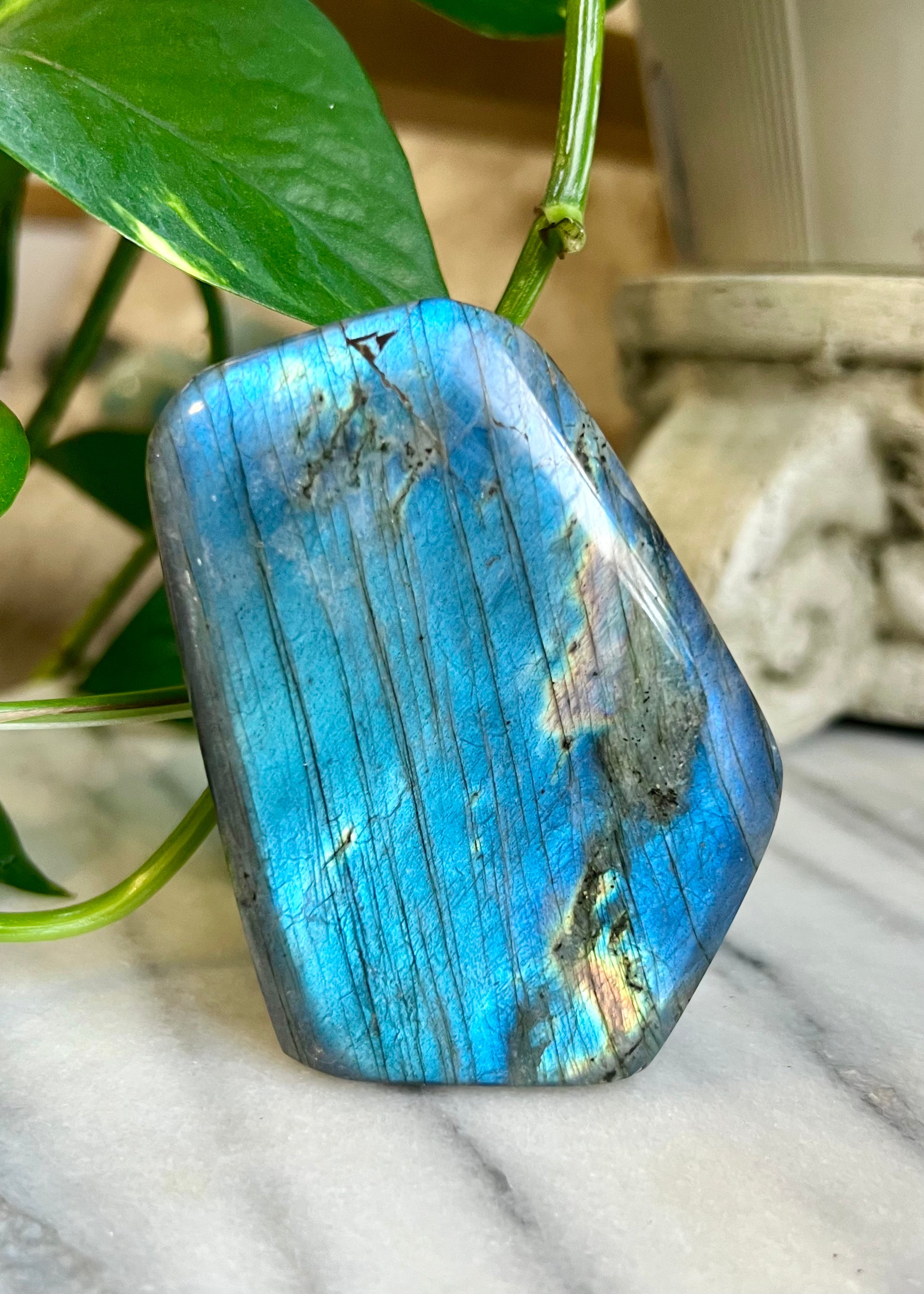 Labradorite Freeform | Aqua Flash