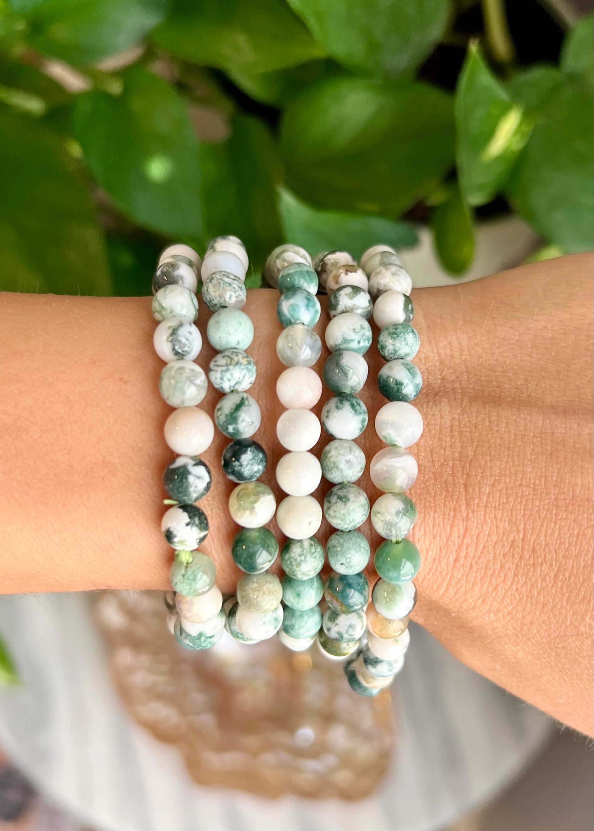 Tree Agate Bracelets | Earthly Connection