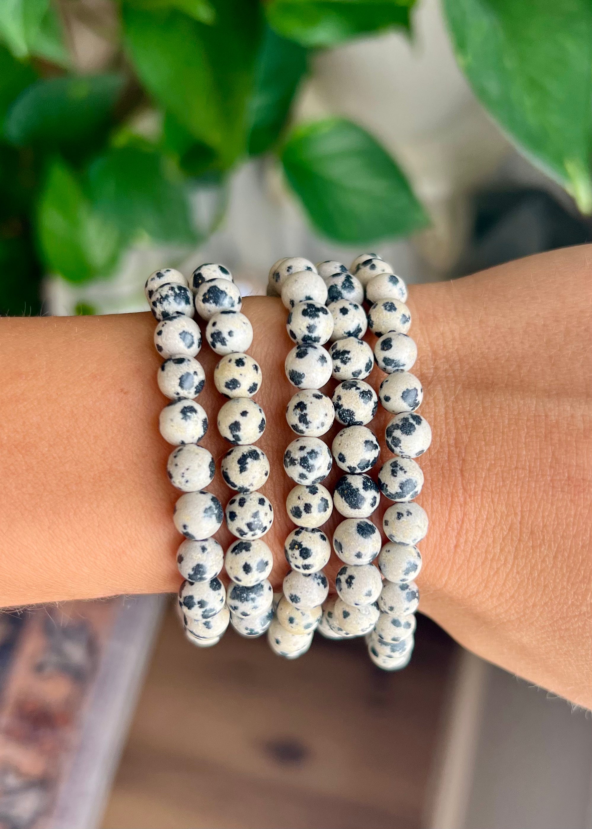 Dalmatian Jasper Bracelets | Playful Protection