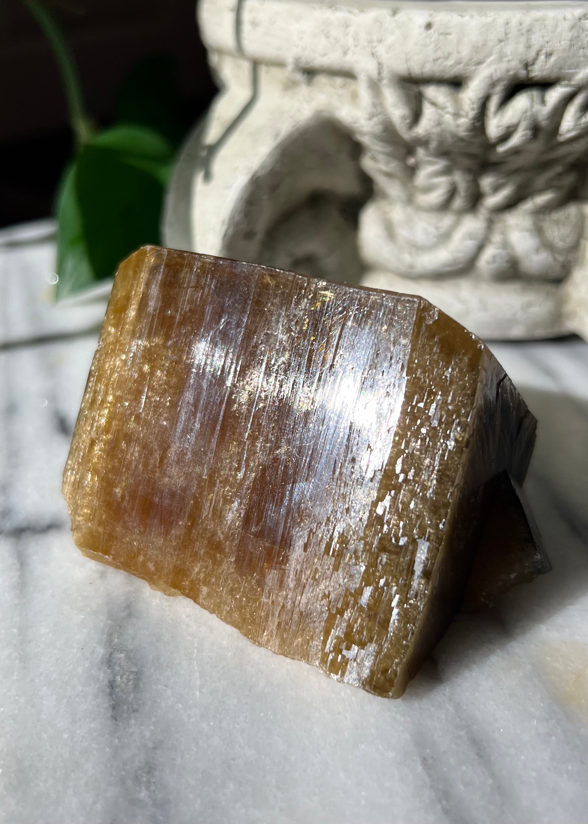 Golden Barite Specimen | Xiefang Mine