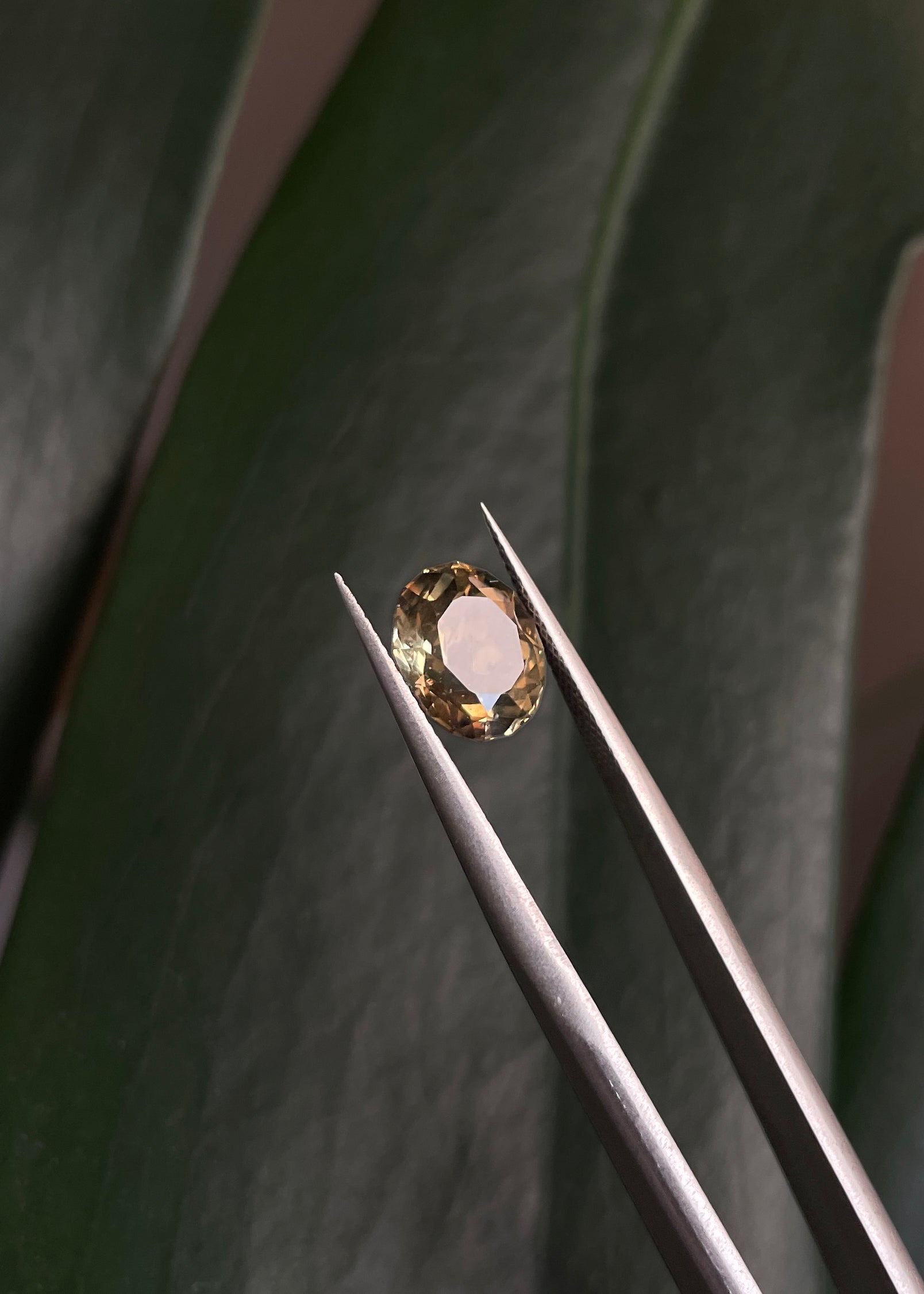 Cape May "Diamond" Smoky Citrine Gemstone