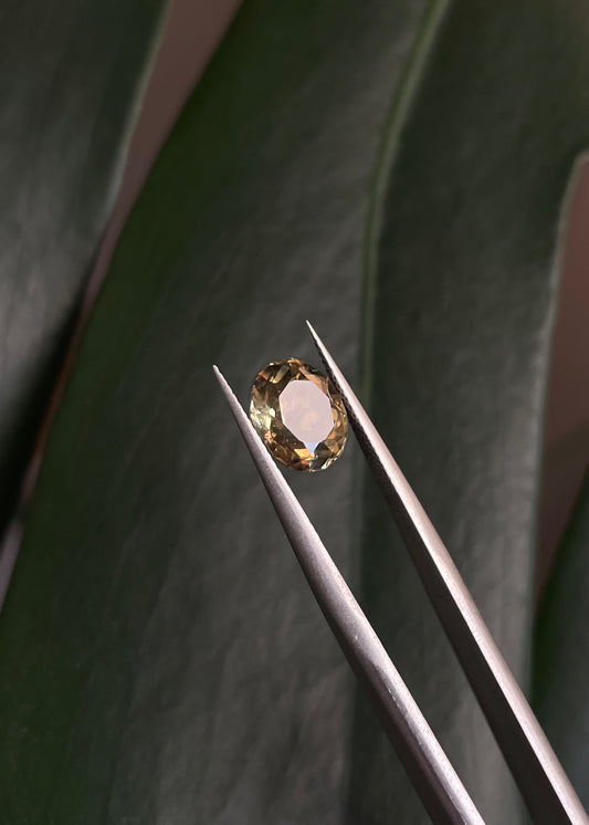 Cape May "Diamond" Smoky Citrine Gemstone