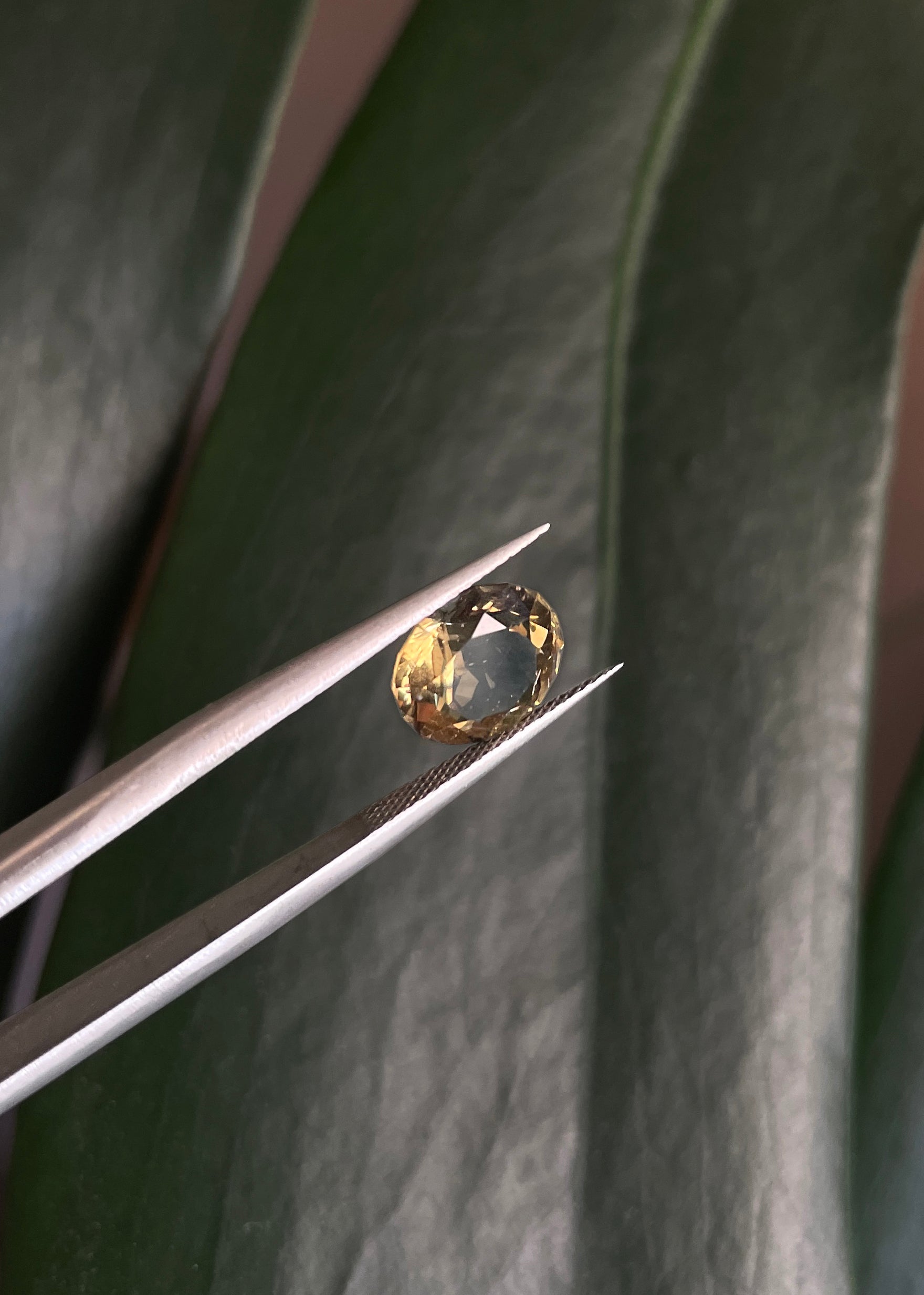 Cape May "Diamond" Smoky Citrine Gemstone