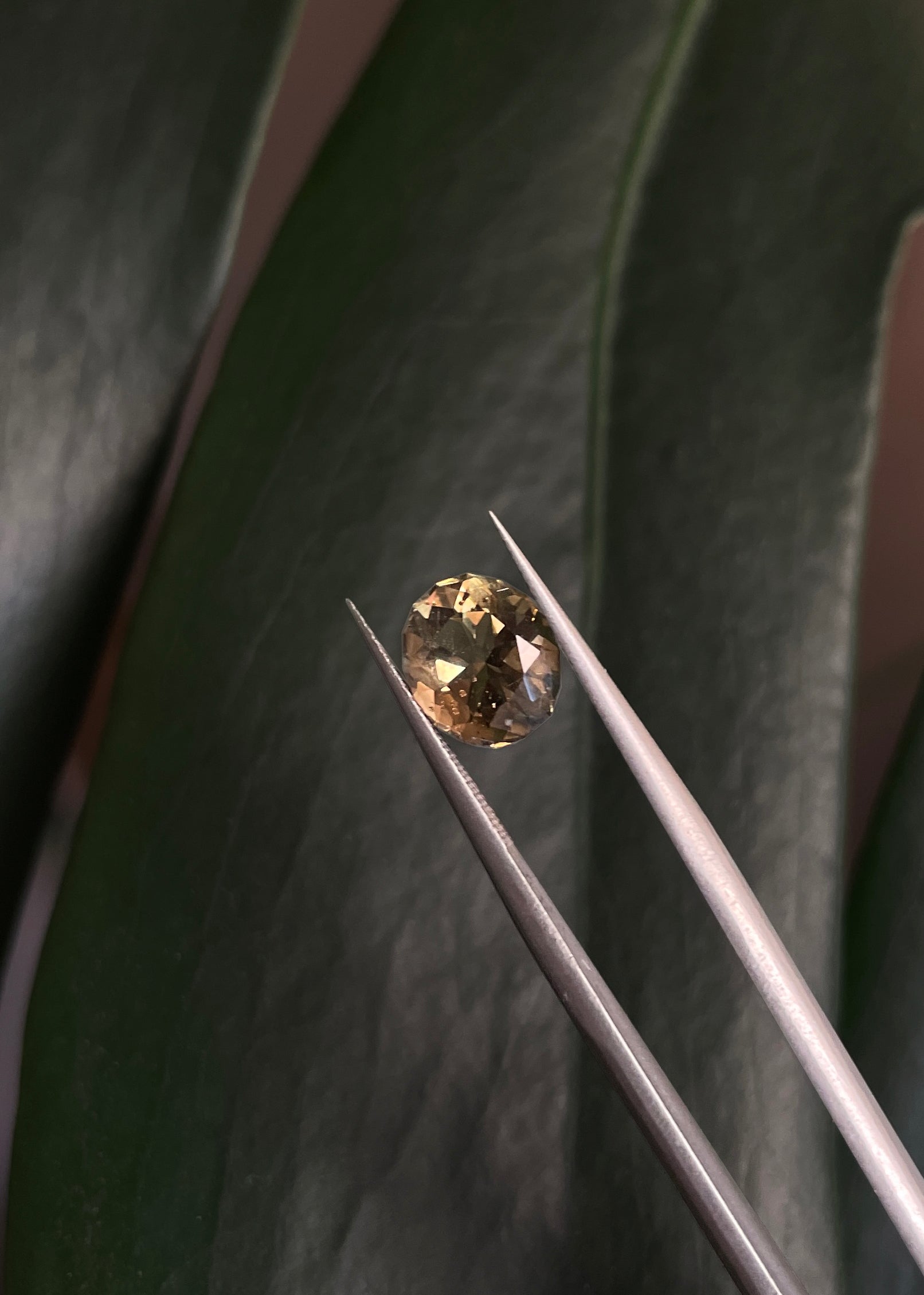 Cape May "Diamond" Smoky Citrine Gemstone
