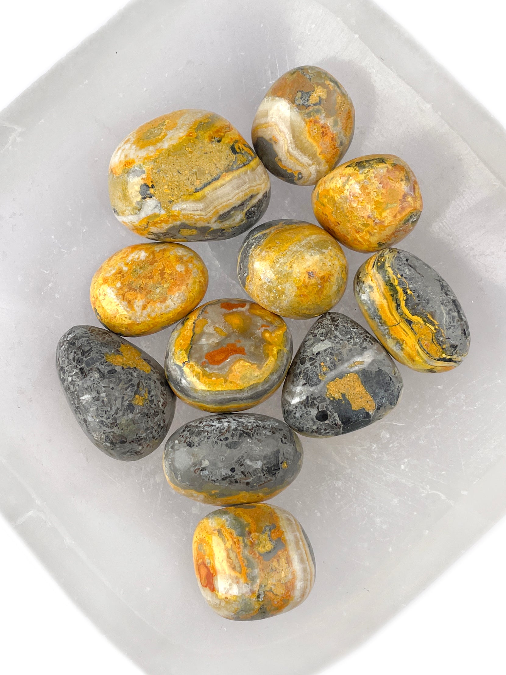 Bumblebee Jasper Tumbled Crystals | Bold Energy